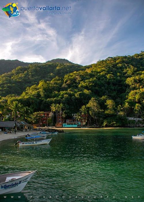 tumblr_pjuxiydc4H1qa39tbo1_500