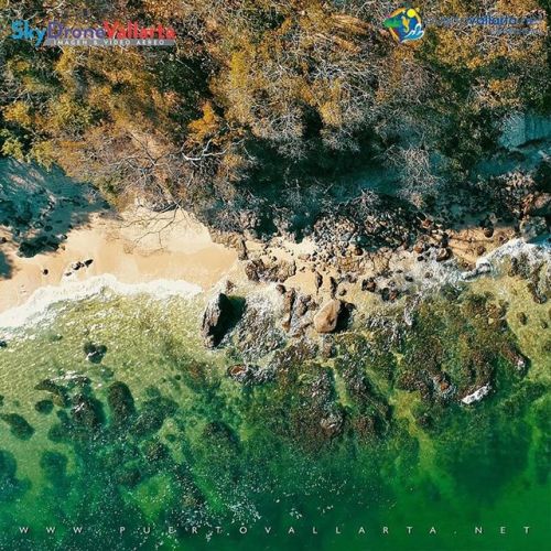 tumblr_pl6o2bym2f1qa39tbo1_500