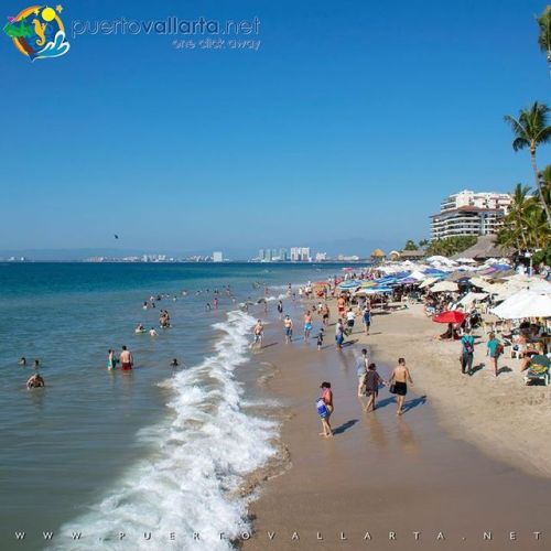 tumblr_plakb9A54o1qa39tbo1_500