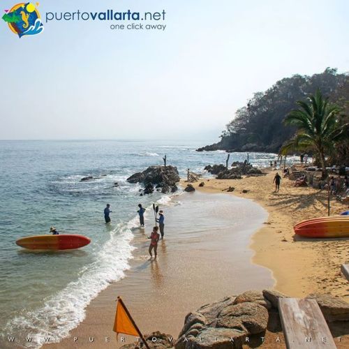 tumblr_plt4gidbH01qa39tbo1_500