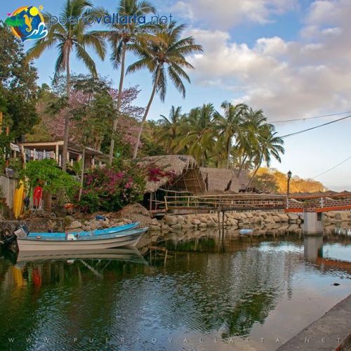 tumblr_posf6x0upC1qa39tbo1_500