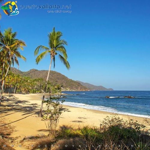 tumblr_posf72Nf3V1qa39tbo1_500