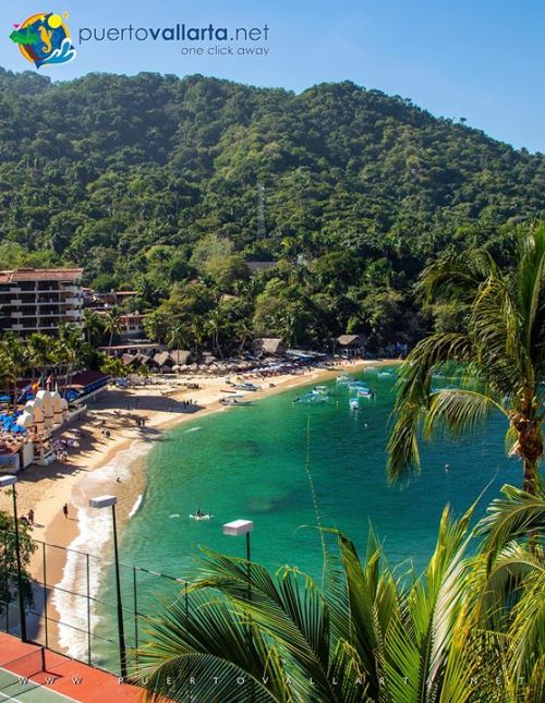 tumblr_posf6r3dfw1qa39tbo1_500