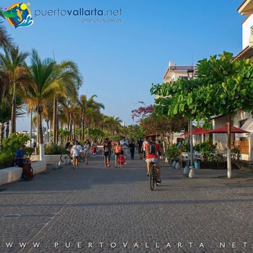 tumblr_posf6ubvg51qa39tbo1_500