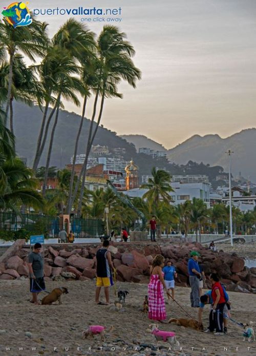 tumblr_pq2u67vcSx1qa39tbo1_500