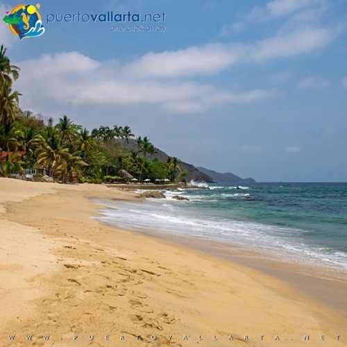 tumblr_pqwjizBagV1qa39tbo1_500