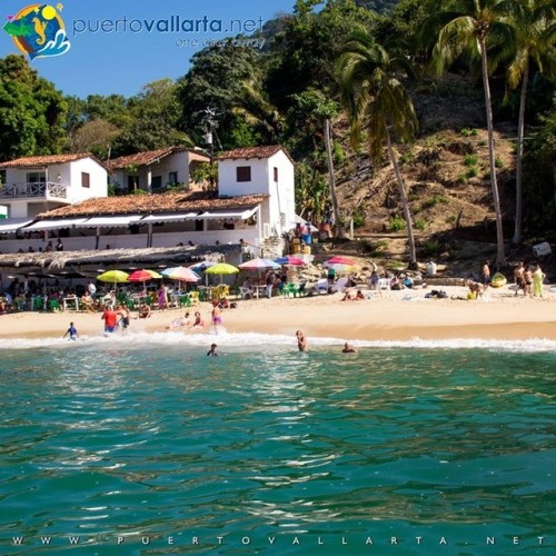 tumblr_prsaj4CviF1qa39tbo1_500