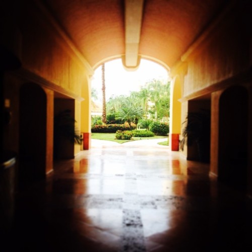 tumblr_nghcy7nTYU1sj0ieqo1_500