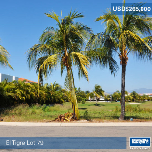 tumblr_nj0mcmeGHp1s62ayzo1_500