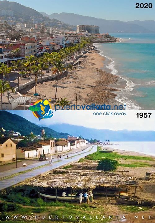 cd336d2c335298026b1a35ca65c20e62cc4ae317