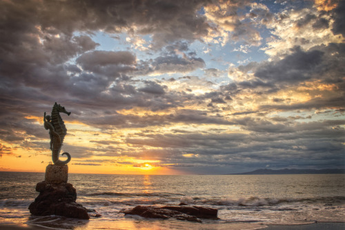 a84031564d5e81bd35ff460f6117dc2fef881def