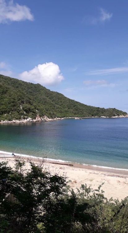 3b527142643ce1f56f87802c0c63826efafeddc5