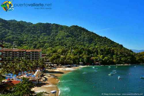 12a19e0ee912eddda0825ccb64b09fb36e7cf0ca