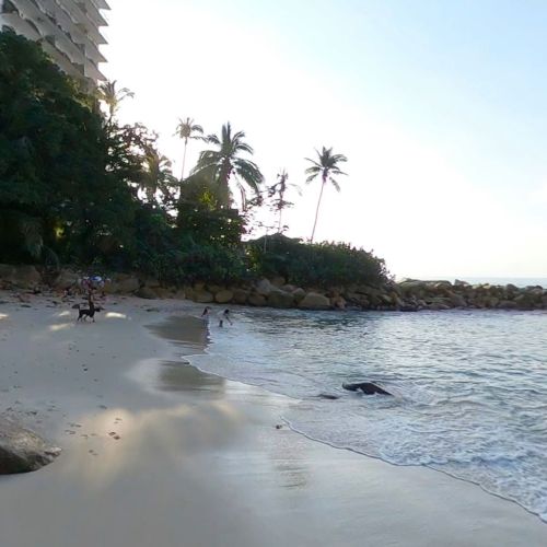 9837afe7ee2ff5d5f44cd0021dc8be5893086e9f