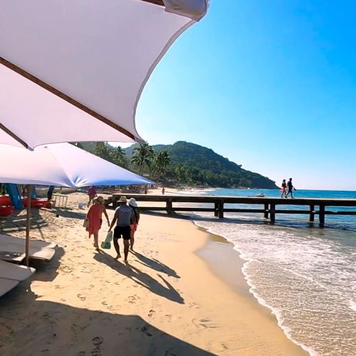 6f039182f2bb0fce261bbd20126de4848e9e58fe