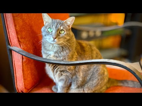 Puerto Vallarta Coffee & Headlines • May 31, 2023